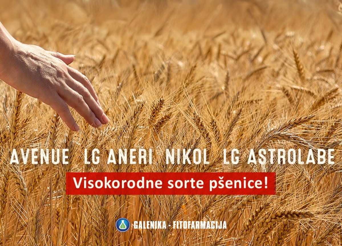 Logan - za odličan start kukuruza