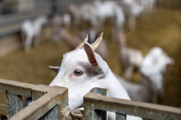 IMG-1104626968f6c2732e56677f10c138cb-V