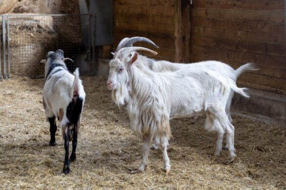 IMG-371dff9acf0abad56047ad58b78a00fe-V