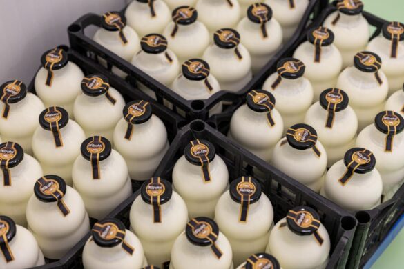 IMG-3ee65702a1dda4a304af9eb10f971c98-V