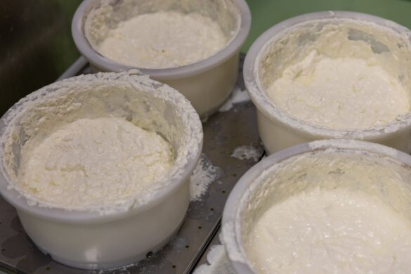 IMG-61fe5223754b75e879ff9af231494f04-V