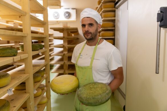 IMG-6573bbd48e4db8b991f2ee82364c64b2-V