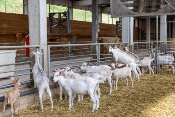 IMG-67552048db2ccdcf8e5b71c395f6fd3f-V