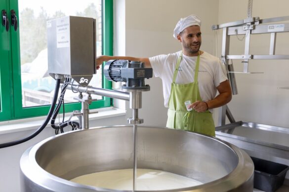 IMG-81738740a7a4a4e5bc1ad7e3ce6366f8-V