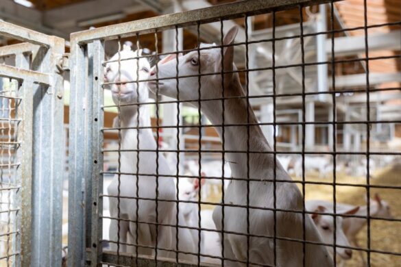 IMG-ba6fcf35f1166b4c24973b6902dba447-V