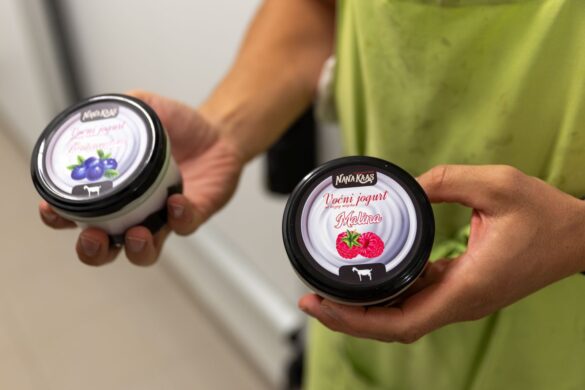 IMG-bb3e0c56a36305af050fb916c1e768b1-V