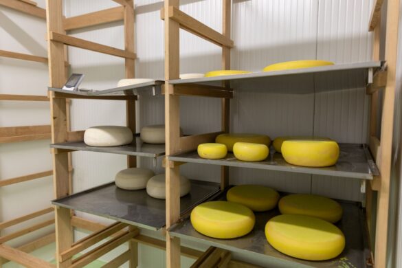 IMG-c59d1a6344e54aa7b60530116c030138-V