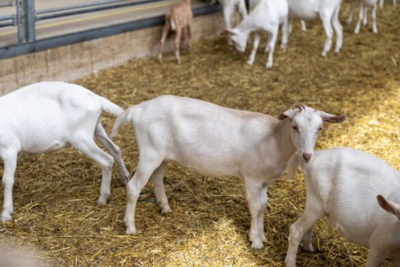 IMG-cf23f23f335b4eddb8e78682120c58b8-V