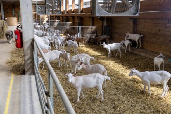 IMG-d4aae037149cf6df67017f2c35c82049-V