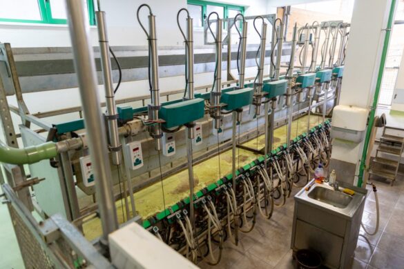 IMG-e47acea570a21f3026997d21746395b4-V