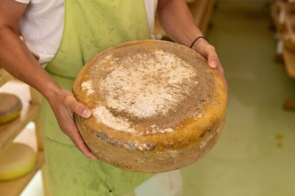 IMG-ec137bb860603c9b331d84d216415edc-V