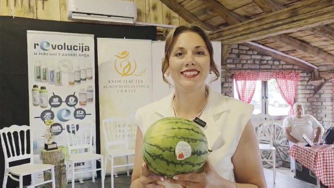 Vedrana Nedeljkov mini lubenice