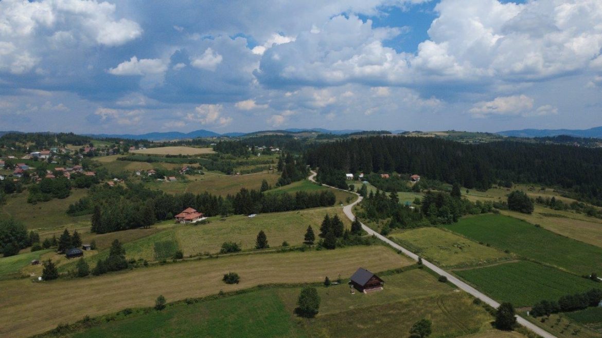 Zlatar selo Akmacici kod Uros Gujancic proizvodnja krompira dron (26)